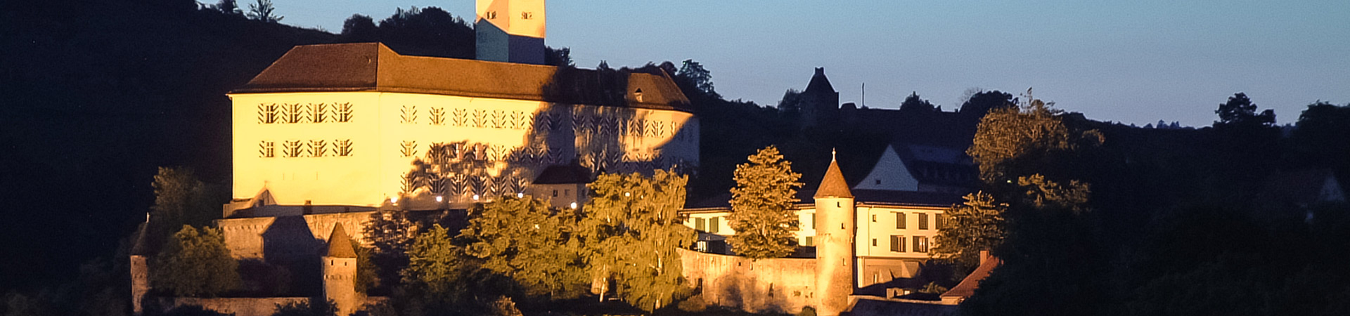 Ferienwohnung Panorama in Gundelsheim